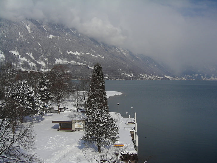 bönigen, switzerland, winter, snow, mountain, nature, landscape