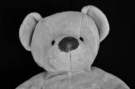 Teddy, Medvídek, Plyšová hračka, vycpané zvíře, portrét, měkké, Zavřít