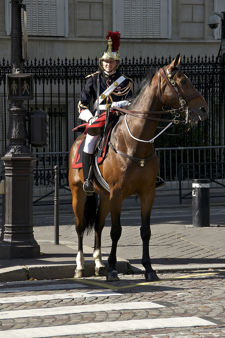 kavaleri, hest, militære, fransk, republikanske garde, Paris, kvinde