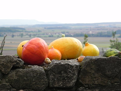 pumpkins, autumn, decoration, yellow, decorative squashes, orange, autumn decoration
