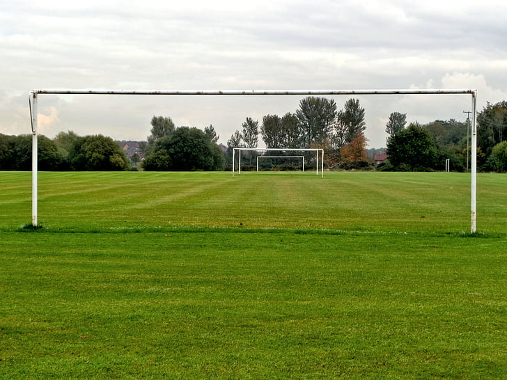grass, the pitch, goals