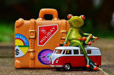 Frosch, Reisen, Urlaub, Spaß, lustig, Abbildung, Gehen Sie weg