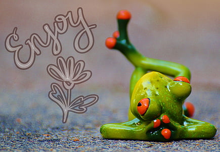 frog, relaxed, figure, funny, rest, relaxation, lying