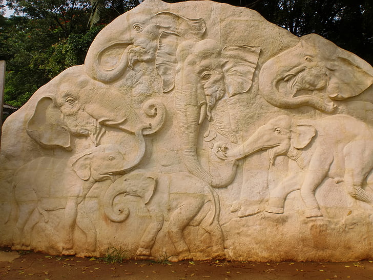 elephant, carvings, rock, sculpture, sri lanka, pinnawala