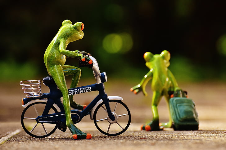 カエル, 別れ, 自転車, トロリー, 旅行, かわいい, カエル