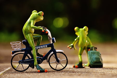 žáby, Sbohem, kolo, vozík, cestování, Fajn, žába