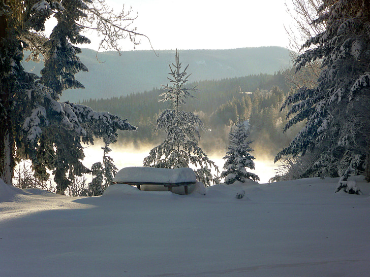 zimné, sen, canim jazero, Britská Kolumbia, Kanada, sneh, za studena