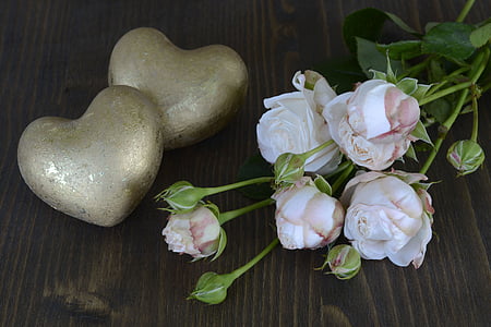 розы, лосось, Роза Блум, цветок, романтический, любовь, аромат