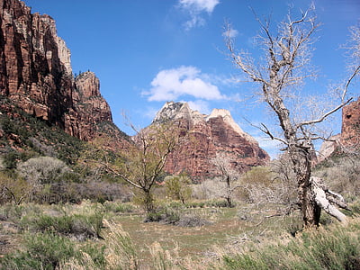 Parco nazionale di Zion, Parco nazionale, formazione rocciosa, America, Stati Uniti, paesaggio, Utah