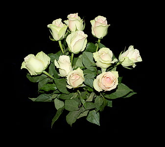 roser, blomster, baggrund, Smuk, buket, hvid, Romance