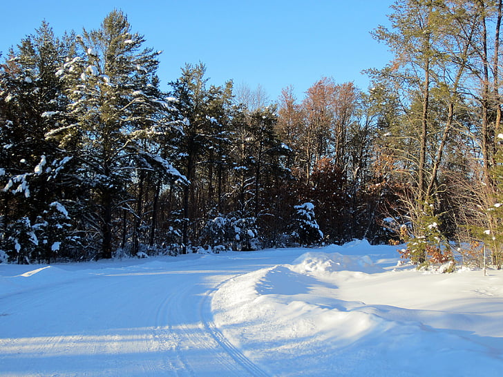 neu, carretera, carril, país, l'hivern, cel blau, arbres