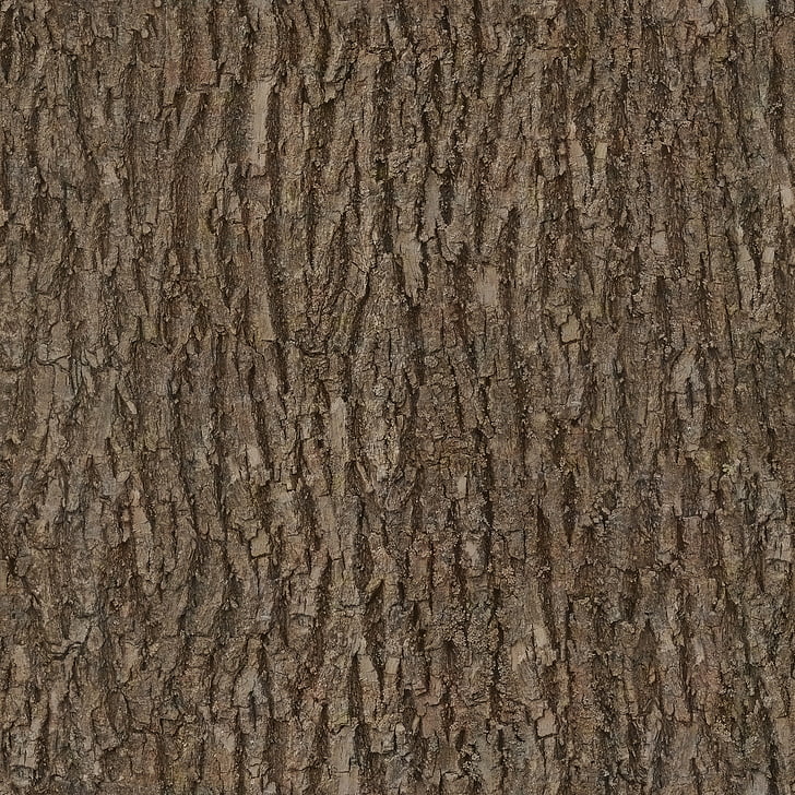 bark, wood, tree, seamless, texture, albedo, base