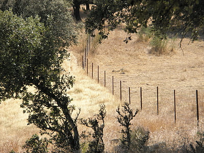 kabeláž, drát, plot, pole