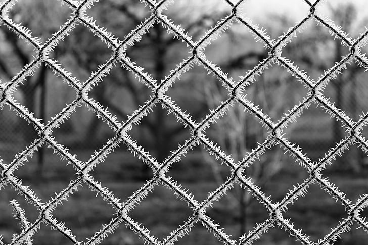fence, ice, frost, winter, frozen wall