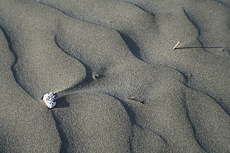 모래, 돌, 토지, 패턴, 토양, 밝은, 지상