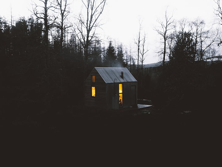 wooden, barn, surrounded, pine, tree, nighttime, trees