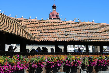 Lucerne, Sveits, bro florida, arkitektur, taket, kulturer