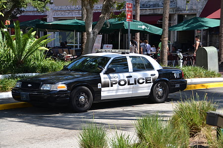 polícia, carro de polícia, Automático, Miami, Miami beach, Estados Unidos da América