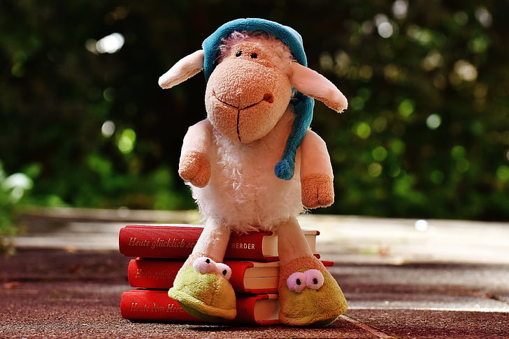 ovce, Waqas, plyš, knihy, dobrú noc príbeh, Prečítajte si, milý