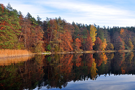 Jezioro Mokre, listopada, jesień