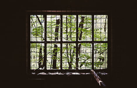 svart, stål, ramme, trær, innsiden, vinduet, innendørs