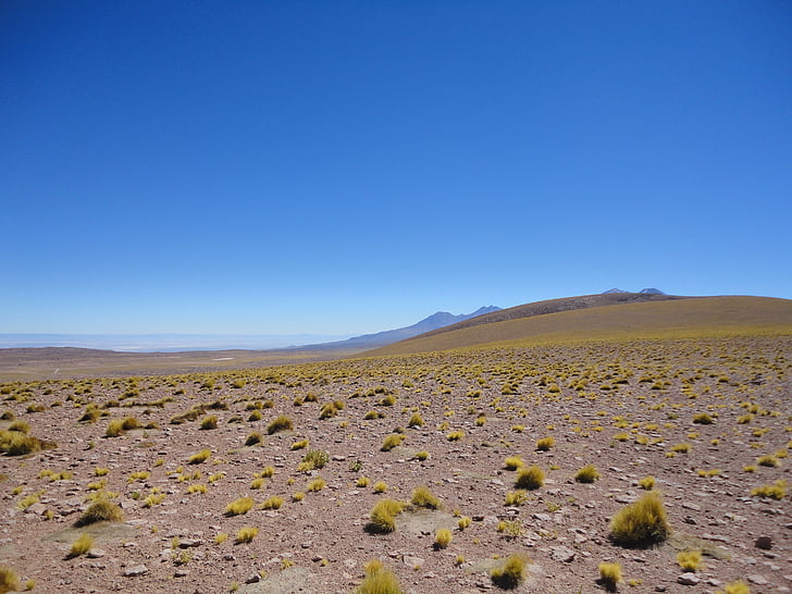 steppe, desert, dry, sky, partly cloudy, blue, contrast