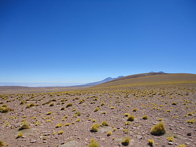 thảo nguyên, sa mạc, khô, bầu trời, hơi có mây, màu xanh, độ tương phản