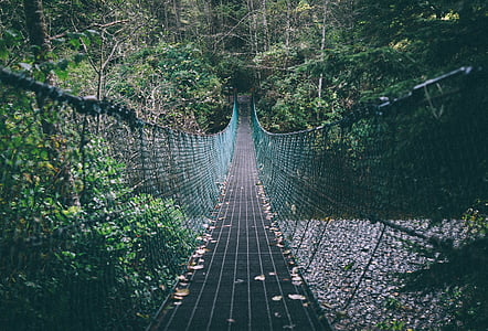 foot bridge, forest, woods, walkway, footpath, outdoors, nature