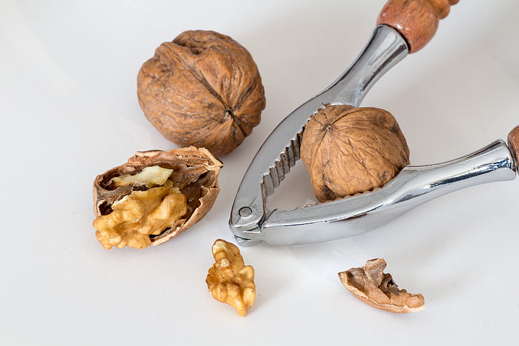 walnuts, nutcracker, crack, walnut, food, nut - Food, nutshell