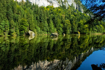 bergisteiner skat., ezers, meža, koki, krasta, krasta, ūdens