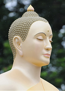 Buddha, buddhalaisten, mietiskellä, Wat, Phra dhammakaya, Thaimaa, pää