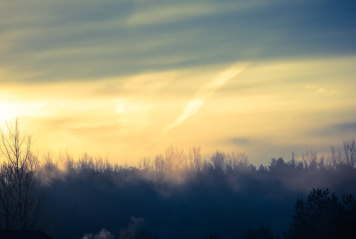 sunrise, morning, sky, trees, nature, landscape, fog