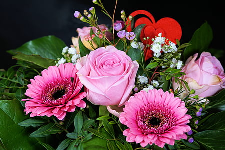 color de rosa, flor, flor, floración, rosa, ramo de flores, Gerbera
