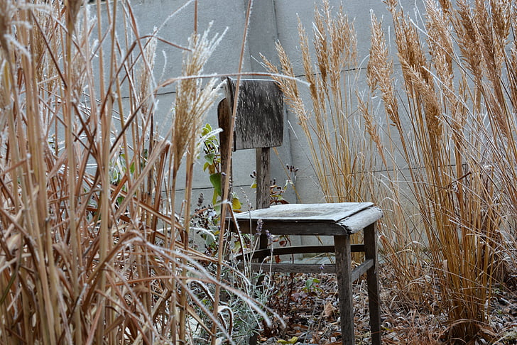 winter, chair, frost, outdoors, day, no people, grass