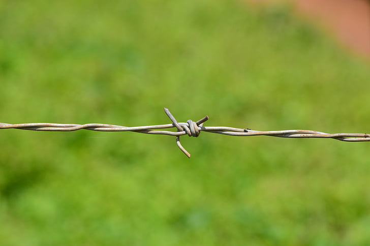 barb, wire, barbed, fence, security, barbed wire, protection