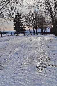 冬, 雪, 氷, 道路, 氷のような
