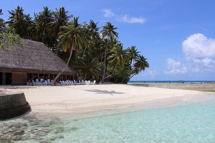 Μαλδίβες, στη θάλασσα, παραλία, φοίνικες, Ενοικιαζόμενα, το καλοκαίρι, θάλασσα παραλία