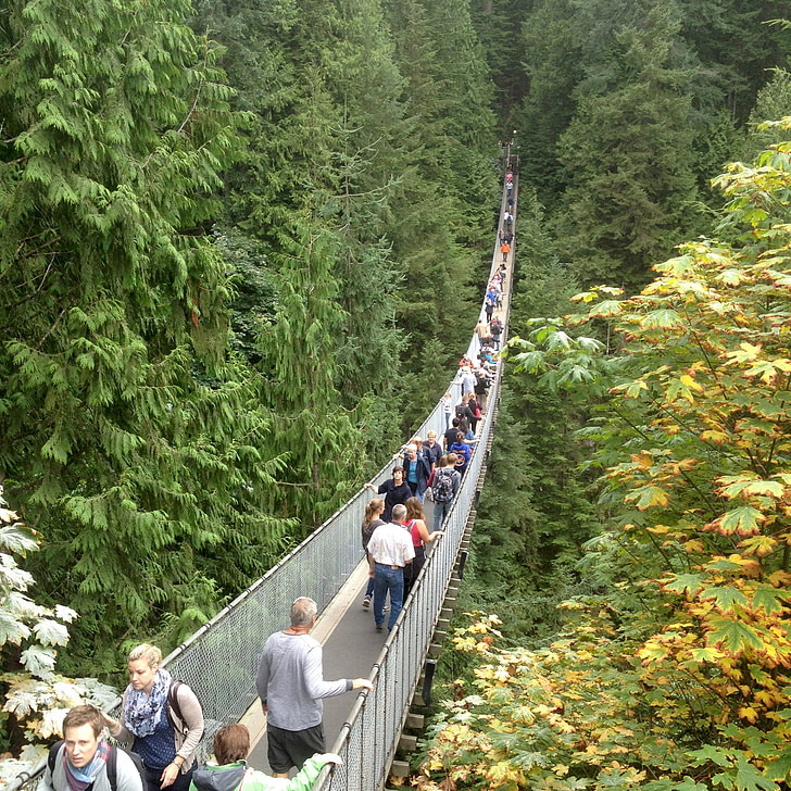 Puente de la suspensión, Vancouver, columbia británica, Canadá, Parque, Turismo, al aire libre