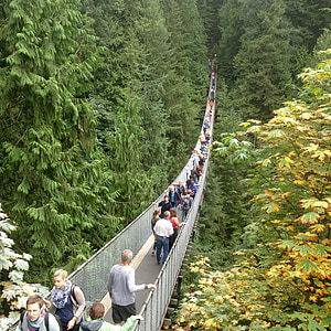 висящ мост, Ванкувър, Британска Колумбия, Канада, парк, Туризъм, на открито