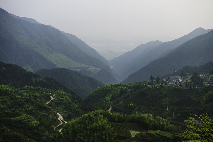 Aerial, photo, vert, Forest, montagne, arbre, village de montagne