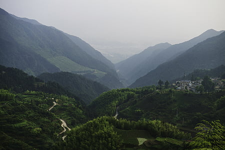 aerial, photo, green, forest, mountain, tree, mountain village