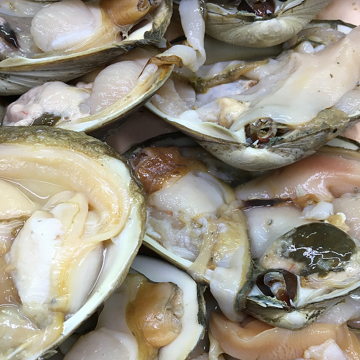 clams, fresh, shellfish, raw