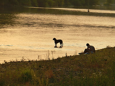dog, river, water, afterglow, man, mood, abendstimmung