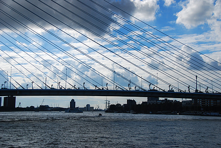 Bridge, Rotterdam, over elva, vakreste broen i rotterdam, vann