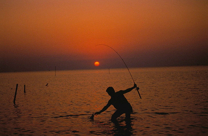 nelayan, matahari terbenam, Memancing, air, siluet, batang, ikan