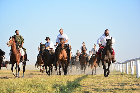 кон, традицията, конник, Конна езда, на открито, езда, животните