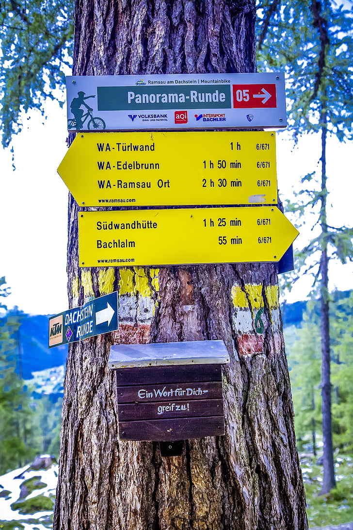 Register, Alpine, vandreture, skjold, pil, træ, bjerge
