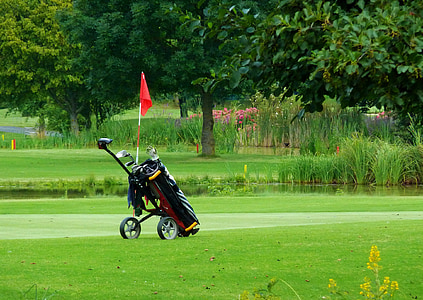 γκολφ caddy, γκολφ, πράσινο, Caddy, αμαξίδια του γκολφ, Αθλητισμός, παίχτης του γκολφ