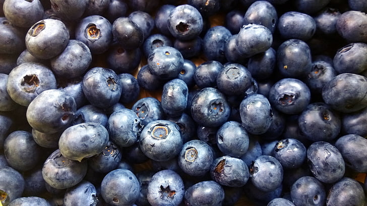 berries, blueberries, food, fresh, fruits, fruit, ripe