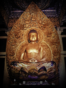 Buddha, Lotus, Hawaii, Meditaatio, hengellinen, symboli, rauha